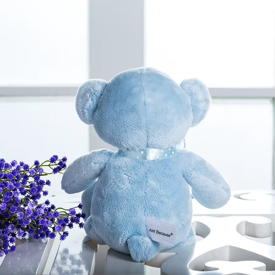 Petit Ours Bleu Peluche